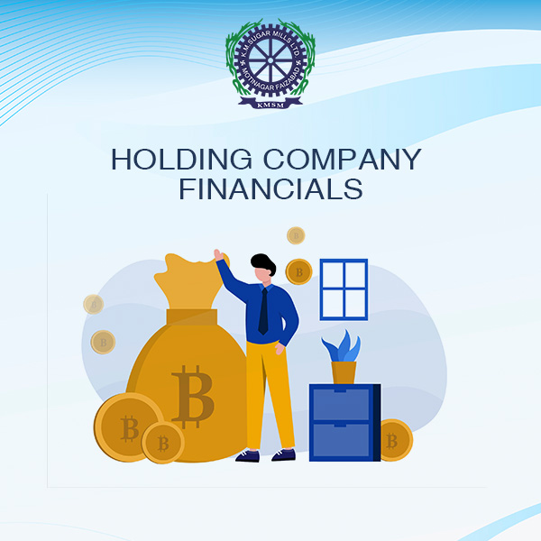 Holding Company Financials